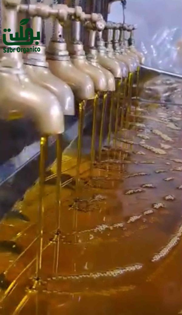 Musterd oil-সরিষার তেল